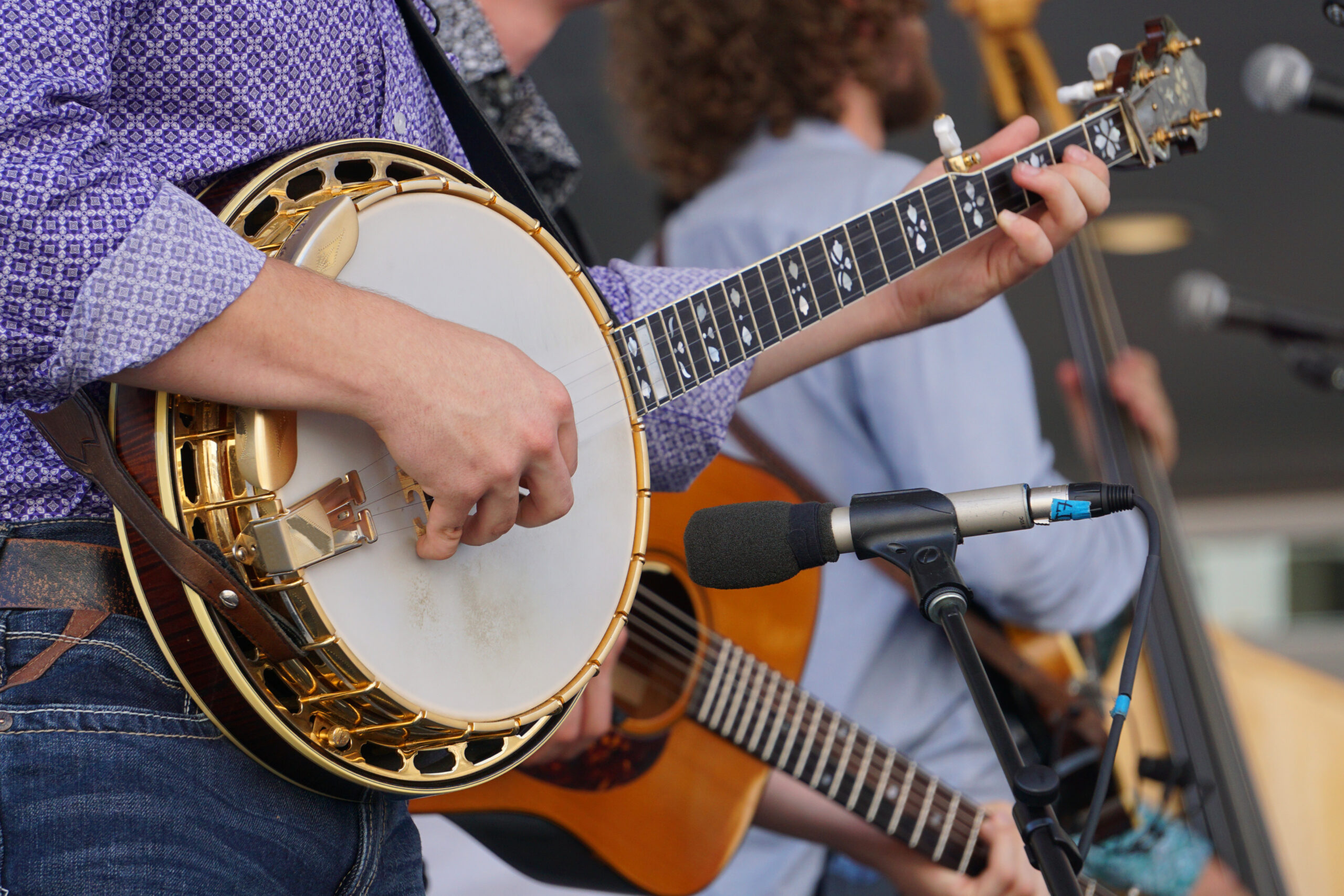 Banjo player in a bluegrass band